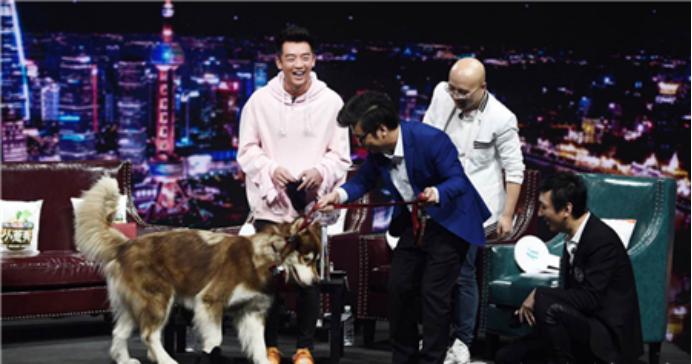 王思聪对郑恺的礼物,小葱秀郑恺送了什么给王思聪