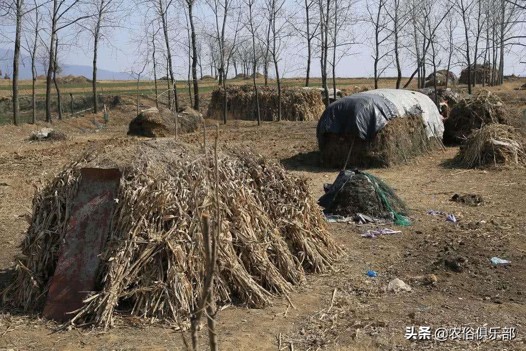 民间做七有什么讲究,农村习俗五七怎么过