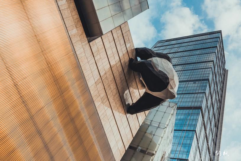 四川东方伊甸园在哪里,成都伊甸园风景