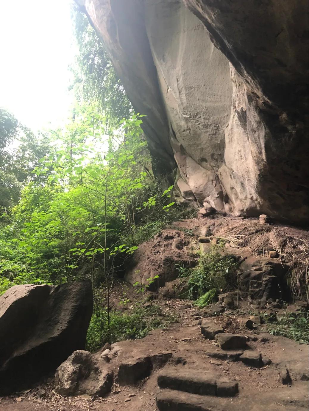 马家岩紫色花树,马家岩宜居