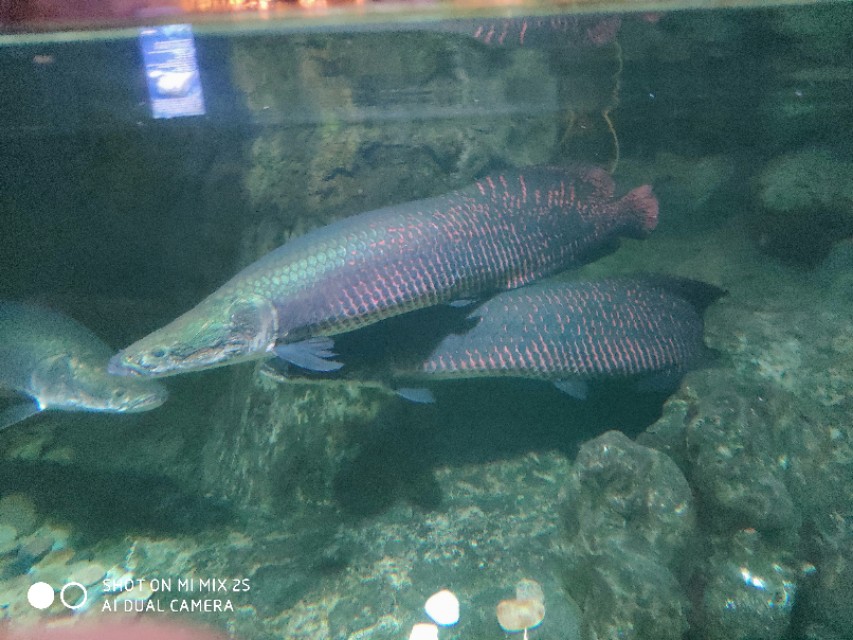 南京海底世界开放时间,南京海洋公园海底世界