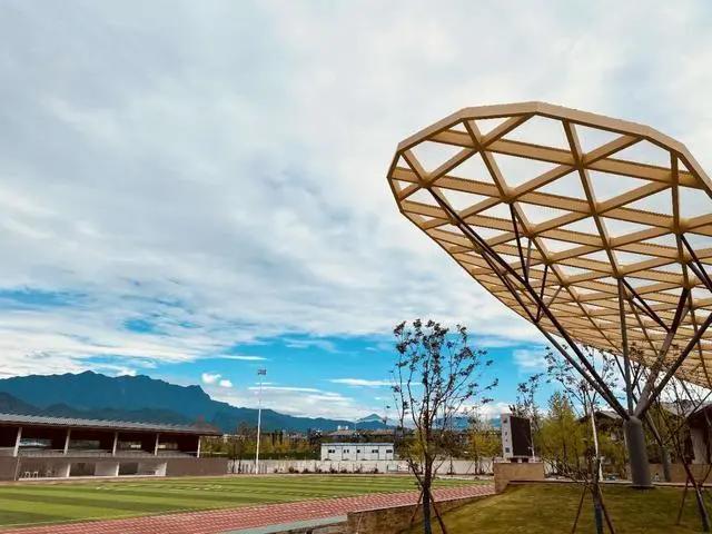 优教都江堰!美丽的花朵在这方热土上竞相绽放!