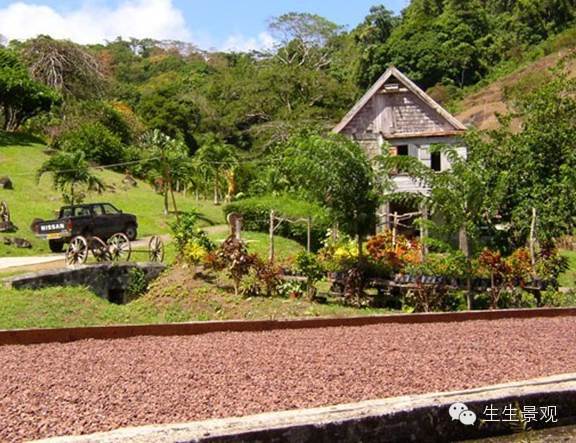 微景观材料的作用,微景观生态材料