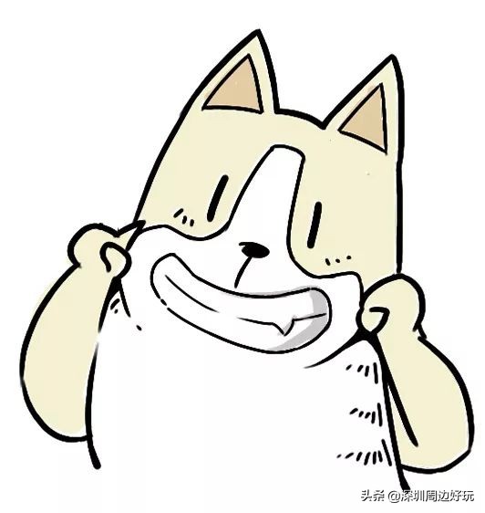 住在深圳各区的人,住在深圳市的人