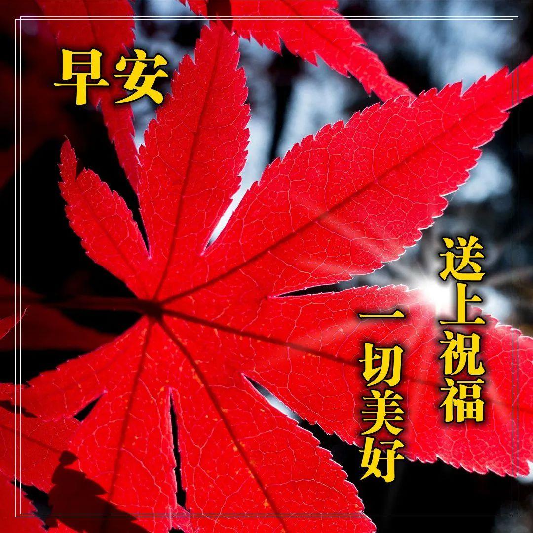 早上好表情图片带字早上好问候语,早上好祝福问候语大全简短图片
