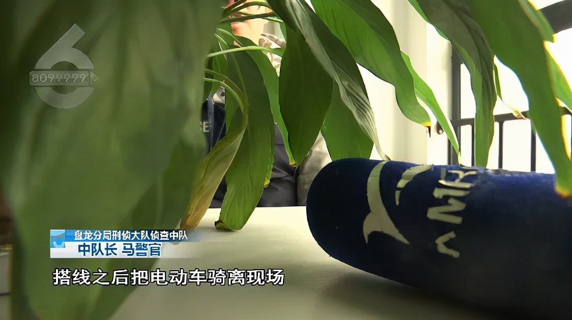 这伙小蟊贼，专偷“小猴子”