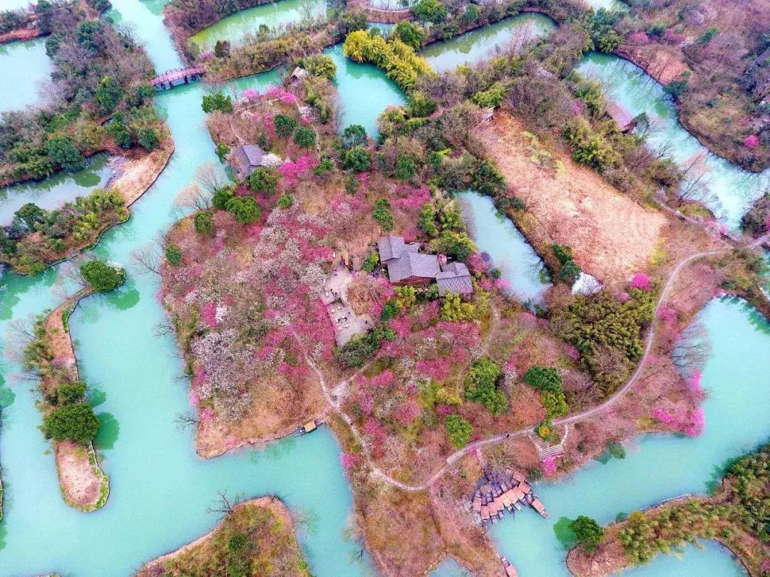 香雪海什么时候开放,香雪海惊艳了多少人