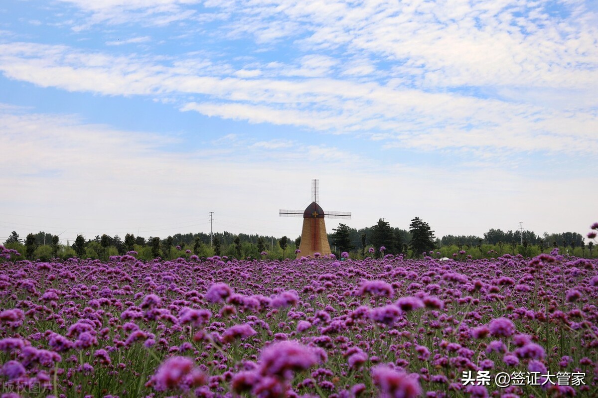 详细说下D7葡萄牙养老签证的一些条款和注意事项