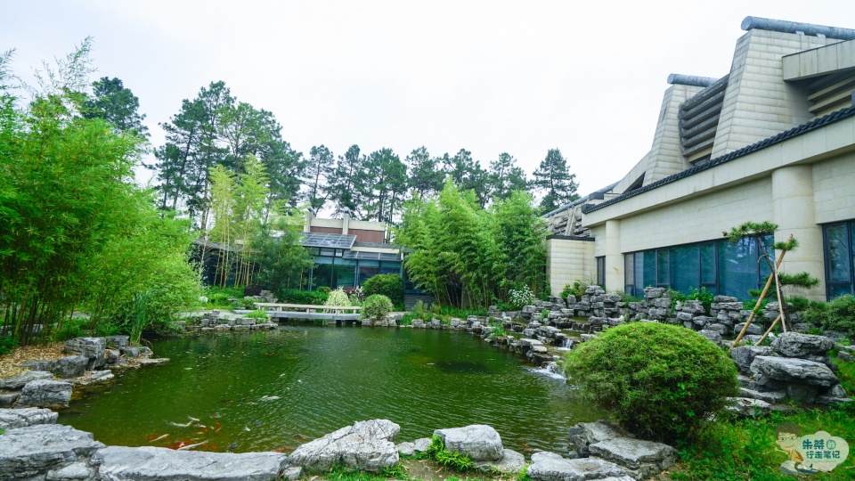 以竹而闻名天下素有中国竹乡之美誉还有一个竹类大观园