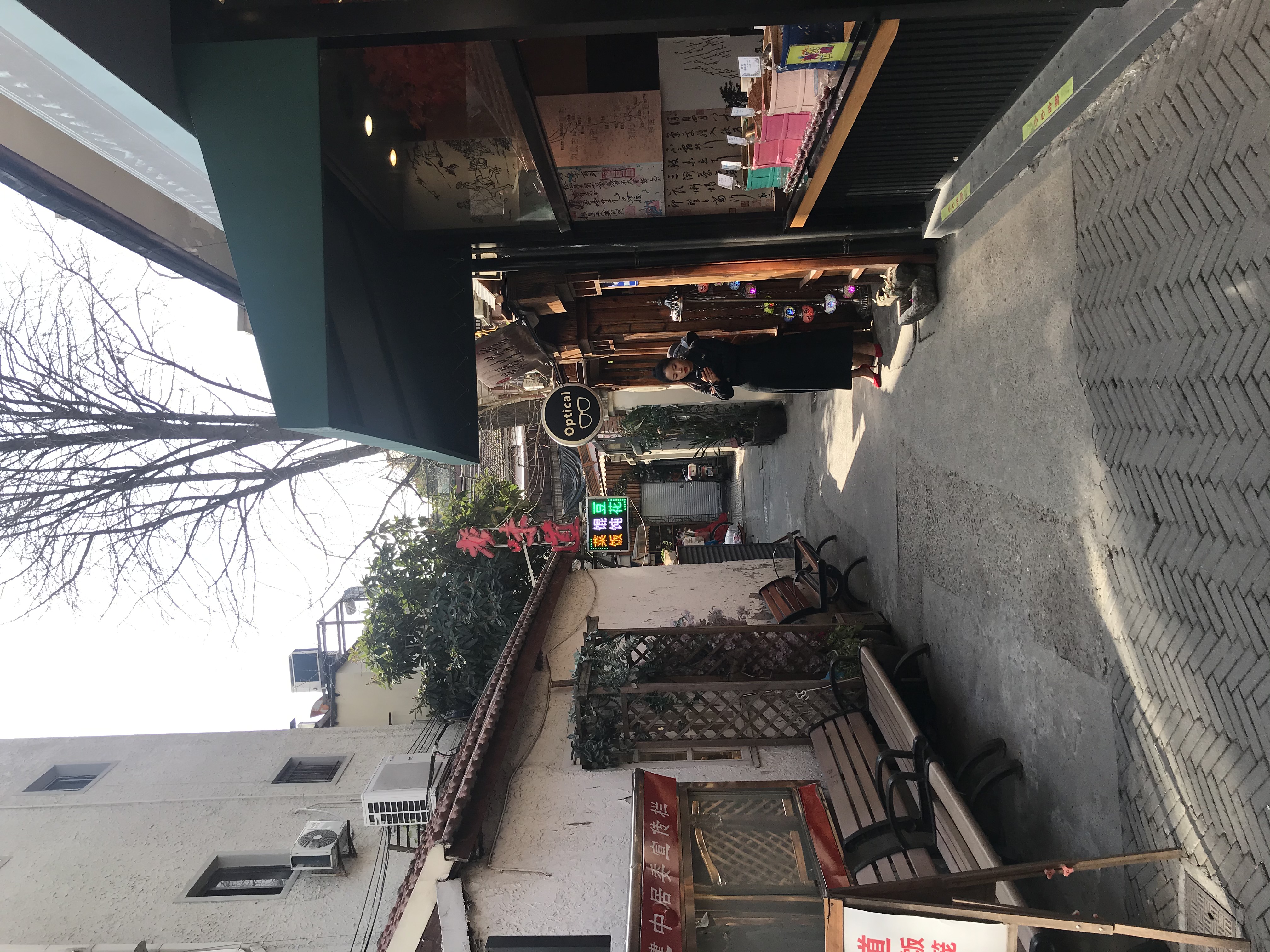 上海的春天视频,上海的春天美景