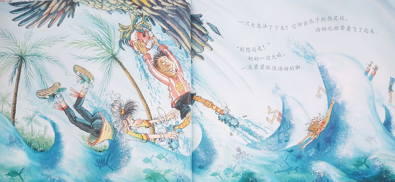 与足球有关的绘本,《神奇的足球》绘本