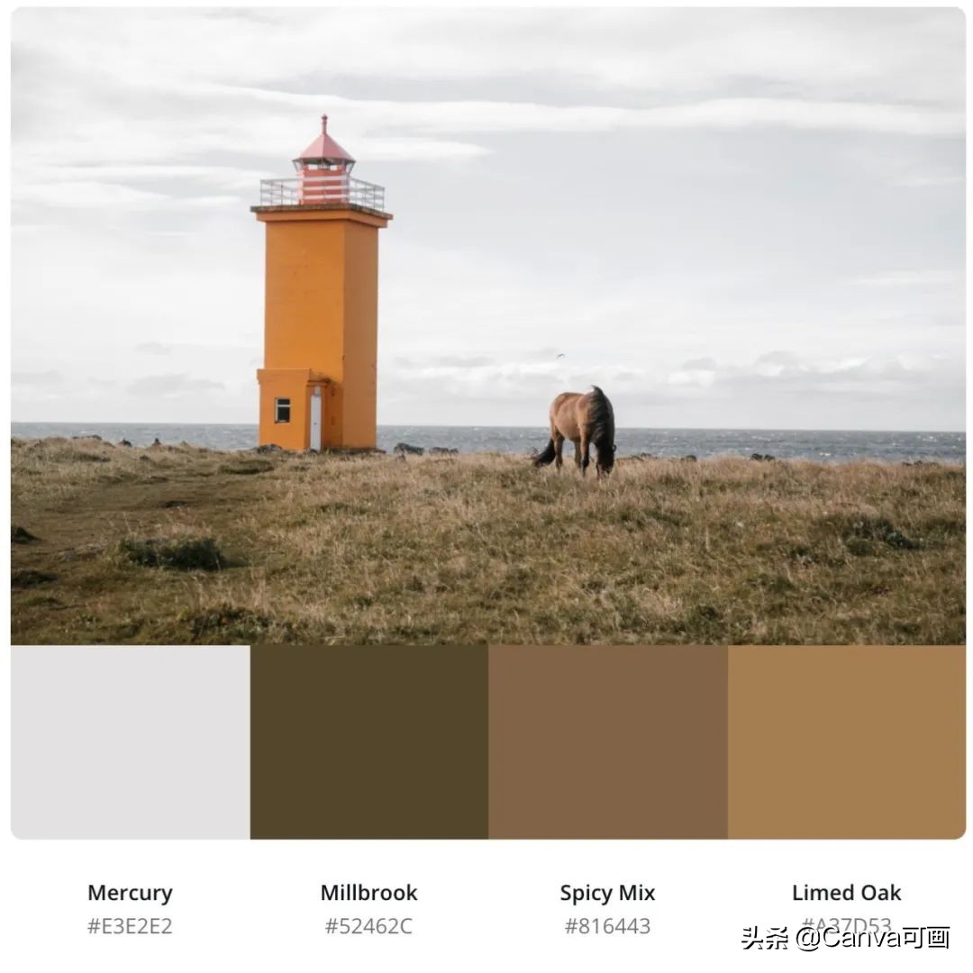 秋天配色插画秋高气爽,秋季高清插画