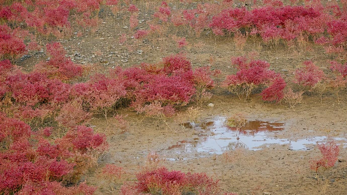 辽宁省内的葫芦岛市简介,辽宁省葫芦岛市各区