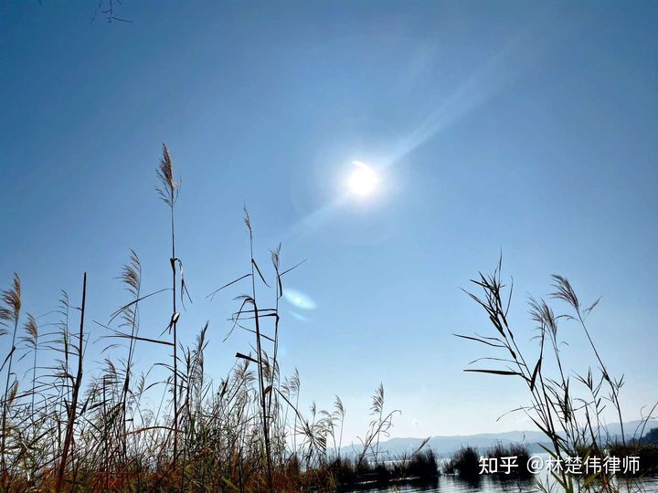 医疗损害官司不做鉴定可以吗,医疗损害司法鉴定最新规定