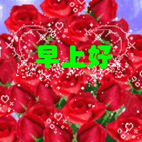 最新群友们早上好问候祝福语,微信群关于早上好的祝福语