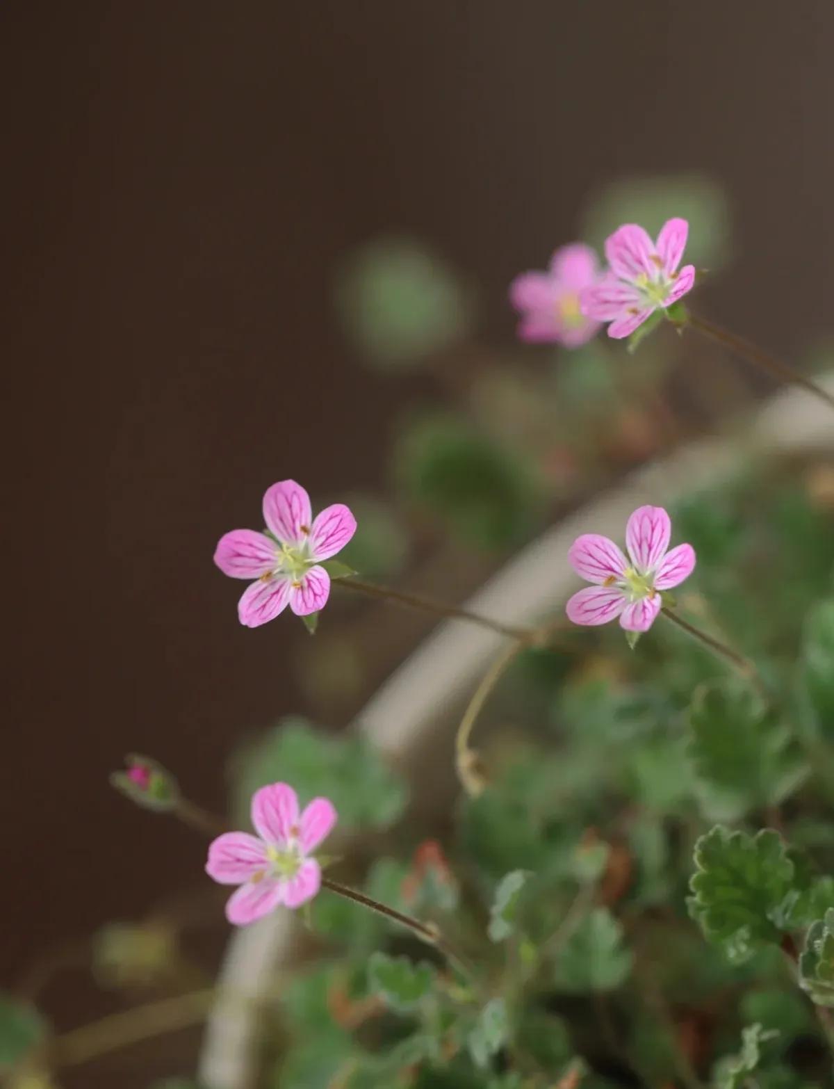 非常讨厌推销的人不断缠着自己,为什么很多人都讨厌推销