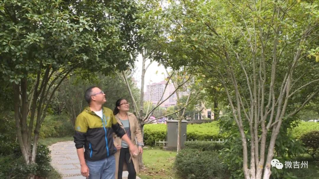 【我们的节日】中秋情浓意更浓欢乐国庆欢乐颂