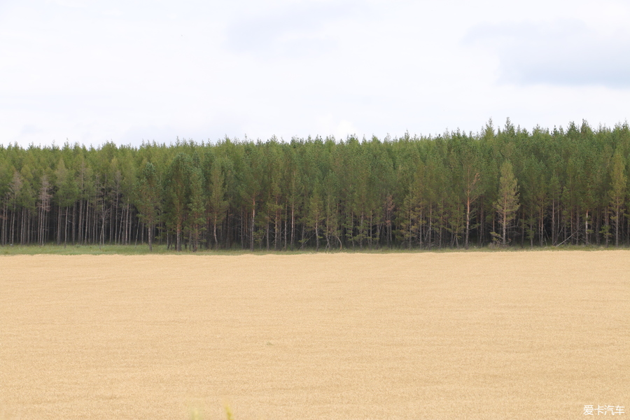 自驾囧途时刻,自驾游闯关东视频