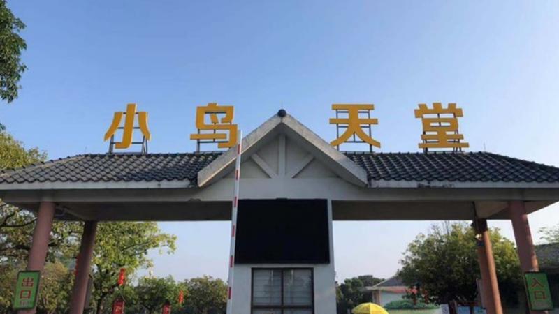 珠三角地区是我国著名的侨乡,珠三角著名的侨乡