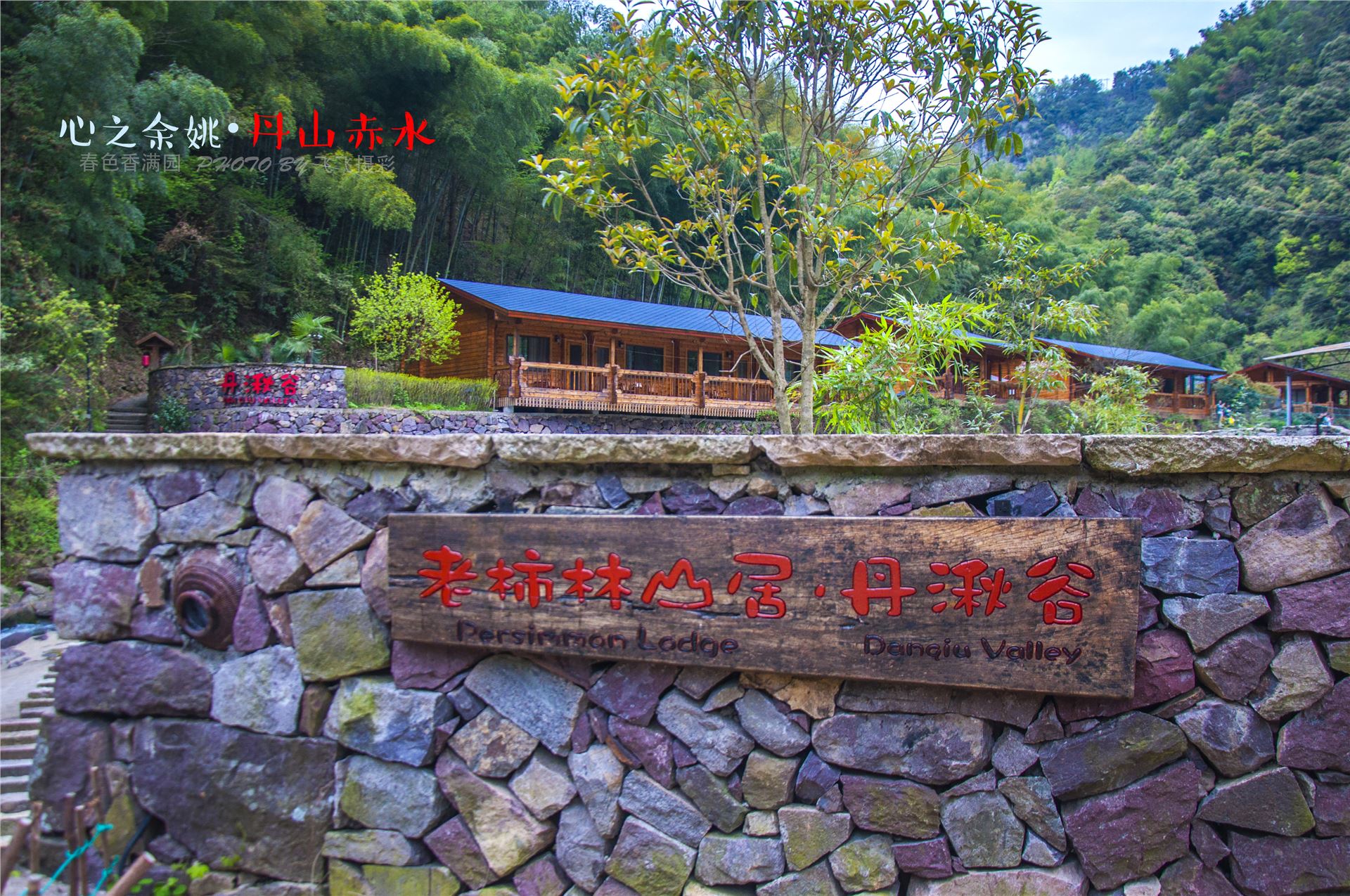 丹山赤水的老柿林景区,丹山赤水柿林古村