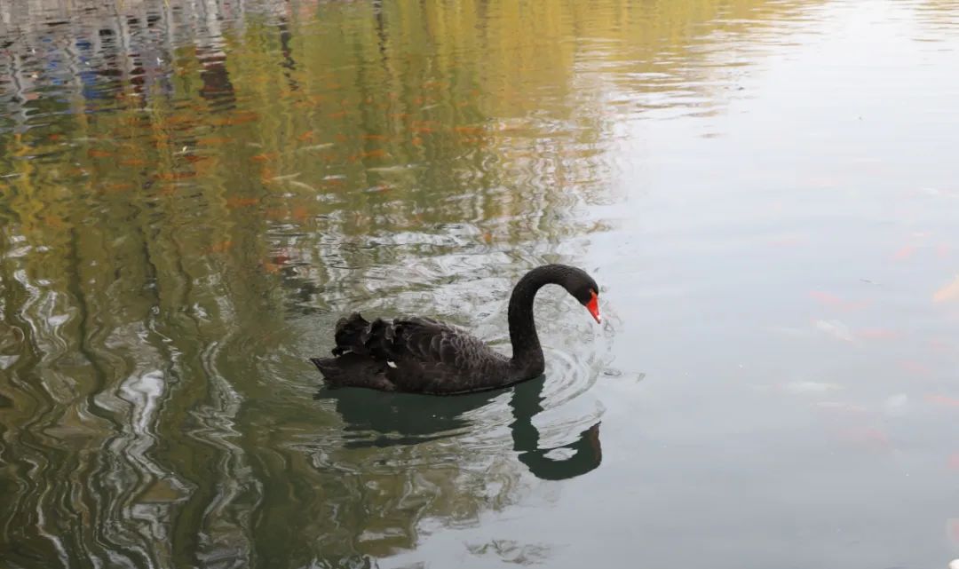 济南适合带孩子去的地方春天,周末遛娃的好去处好玩又免费济南