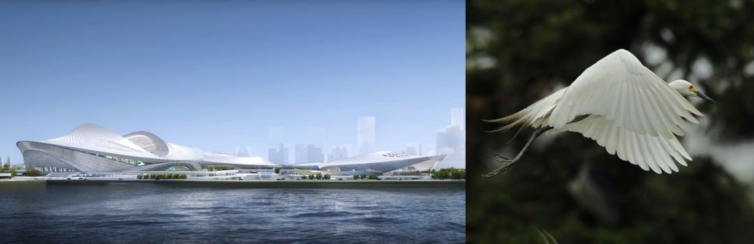 2023年亚洲杯体育场,厦门2023年亚洲杯比赛球场