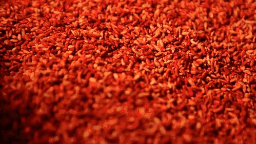 血脂康能代替他汀长期吃吗,血脂康能代替他汀药稳定斑块