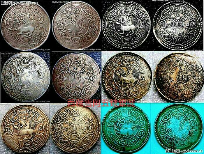 【原创】当年万金购七头藏獒!藏友说是狮子图案？真是一头雾水!