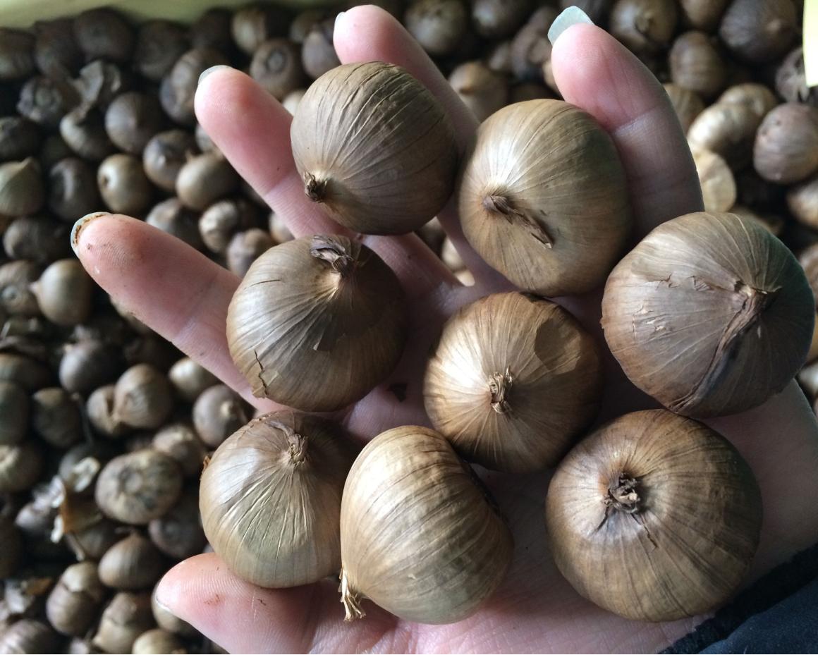 黑蒜抗癌是真的还是假的,吃黑蒜真的好吗