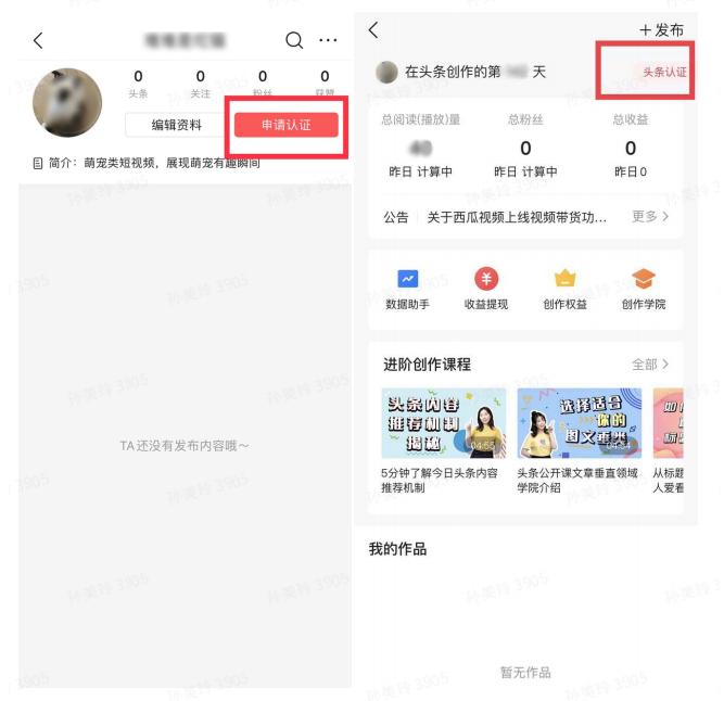 头条申请黄v粉丝数有要求吗,头条申请黄v审核几天