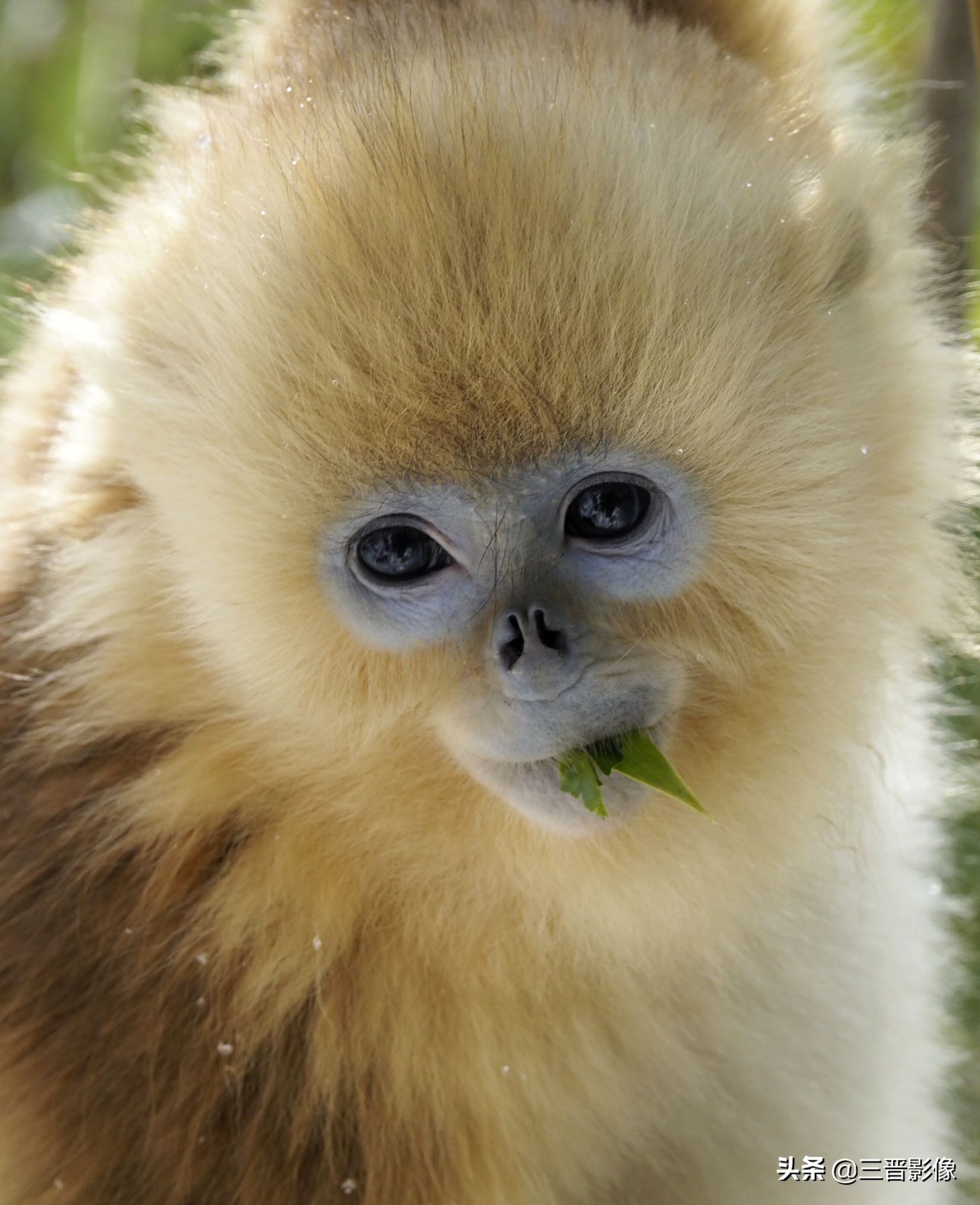 一款很好用的相机,不好看但又很好用的相机