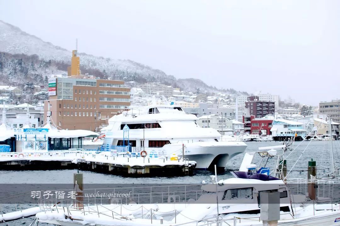 老实说,这一趟北海道就是为了拍好看的照片去的