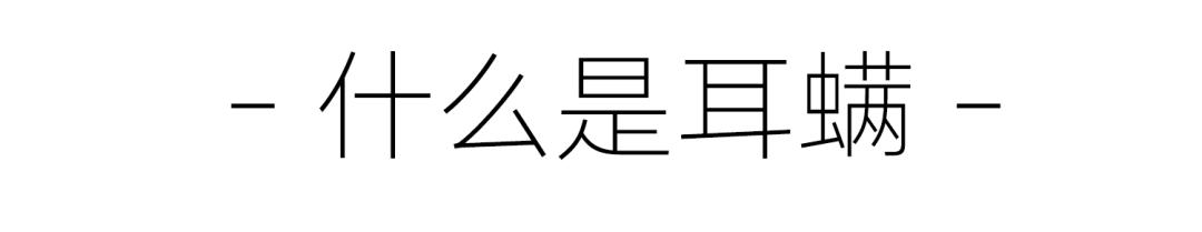 猫病特效药,猫病特效药一览表