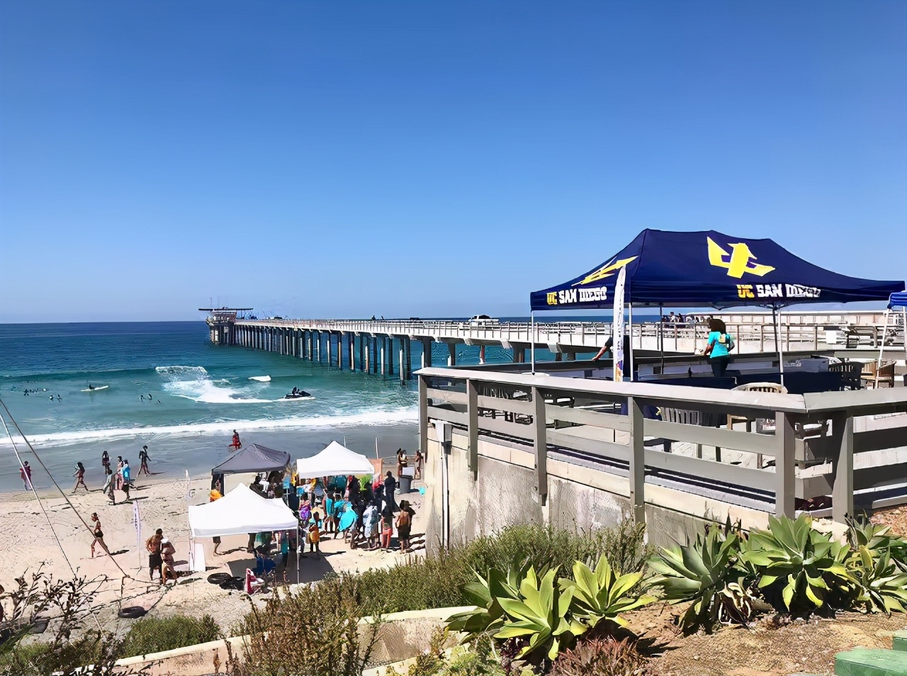 这四类活动美国大学招生官最不看好,请避坑