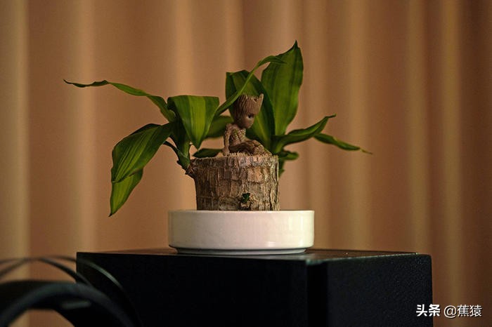 大半年的桌面折腾记录，桌面3.0SHOW