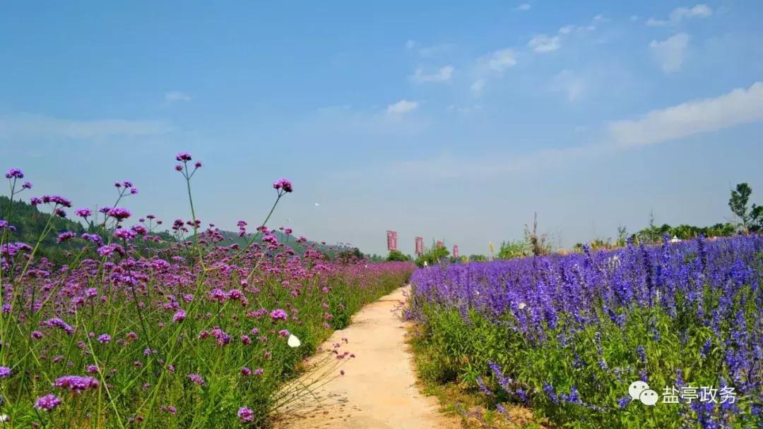 盐亭40年的样子,40年翻天覆地的巨变