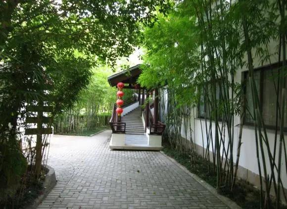 广东自驾旅游泡温泉的地方在哪里,清远佛冈温泉旅游攻略