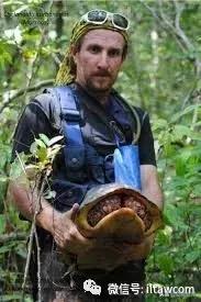 红腿象龟新手入门教程,黄腿象龟