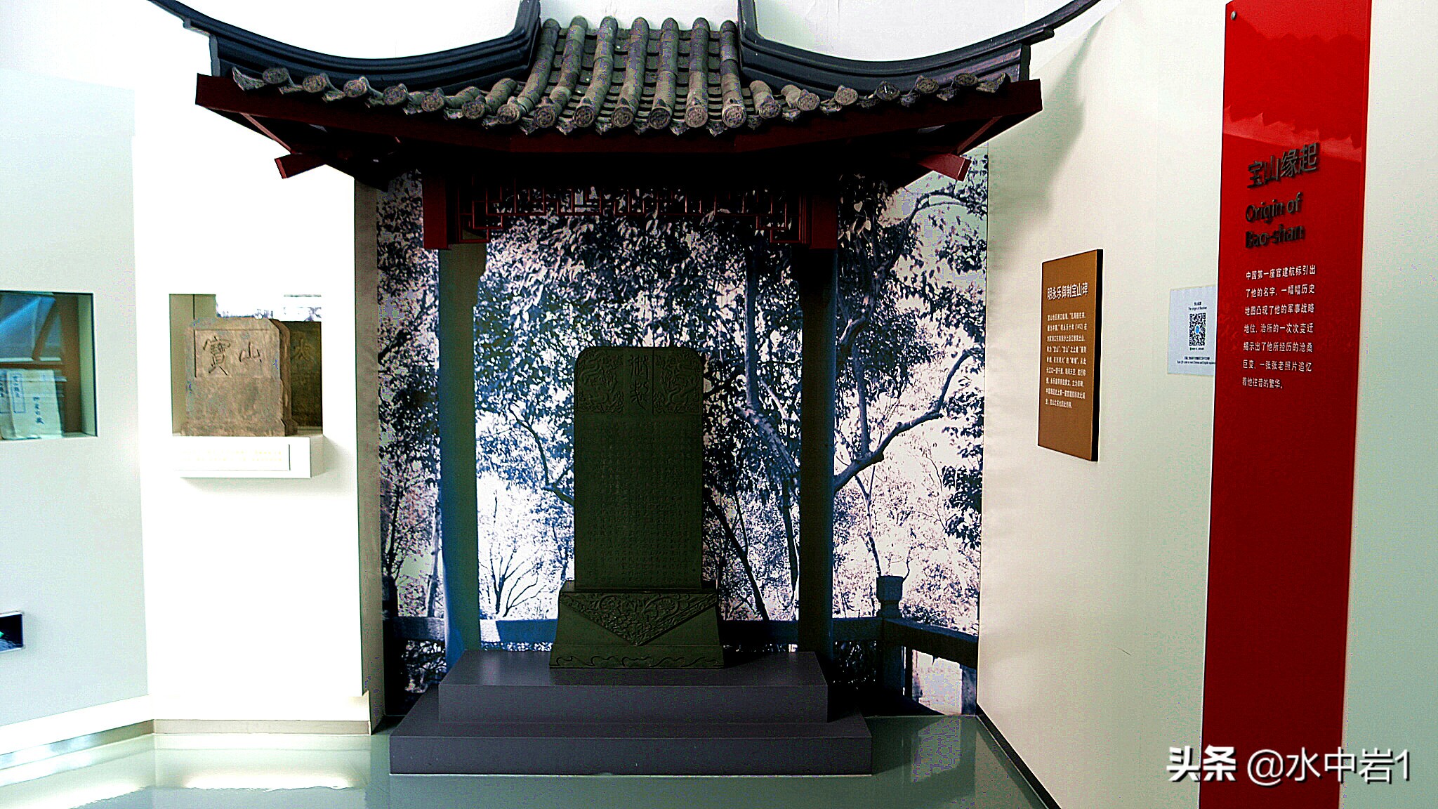 长江流域湿地生态环境保护,长江流域环境保护成果