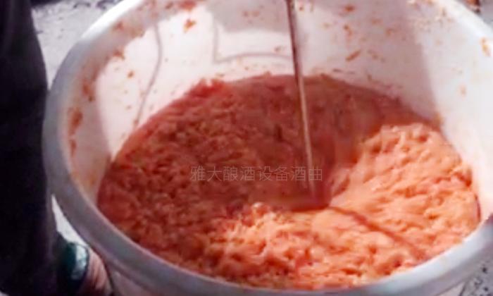 自制酿酒设备做出来的酒好不好喝,白酒制作养生酒