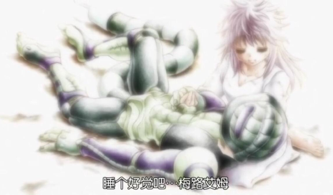 全职猎人王小麦精彩对决,全职猎人小麦中间是怎么受伤的