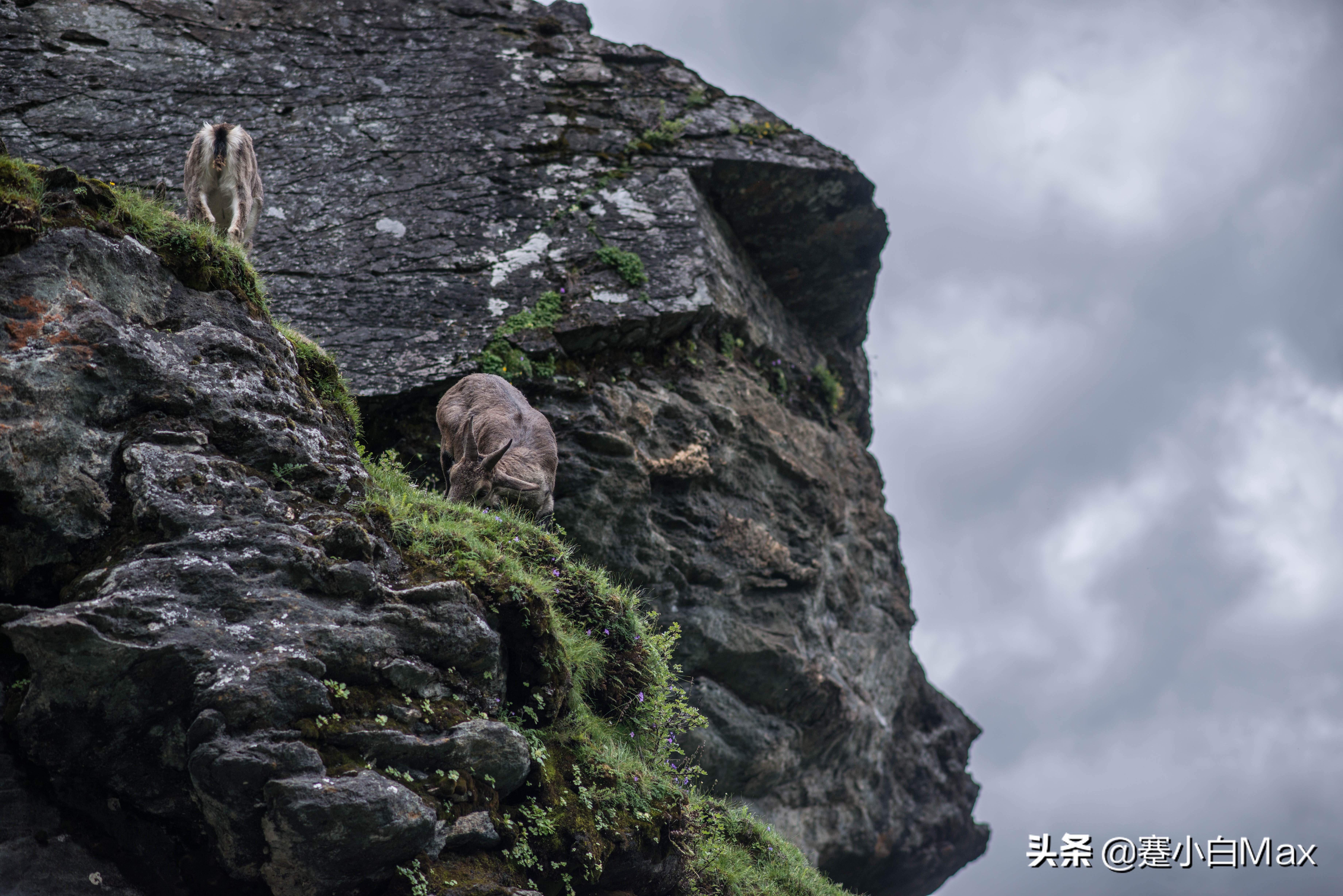 云南大理到稻城亚丁自驾游攻略,成都到稻城亚丁7日自驾游攻略