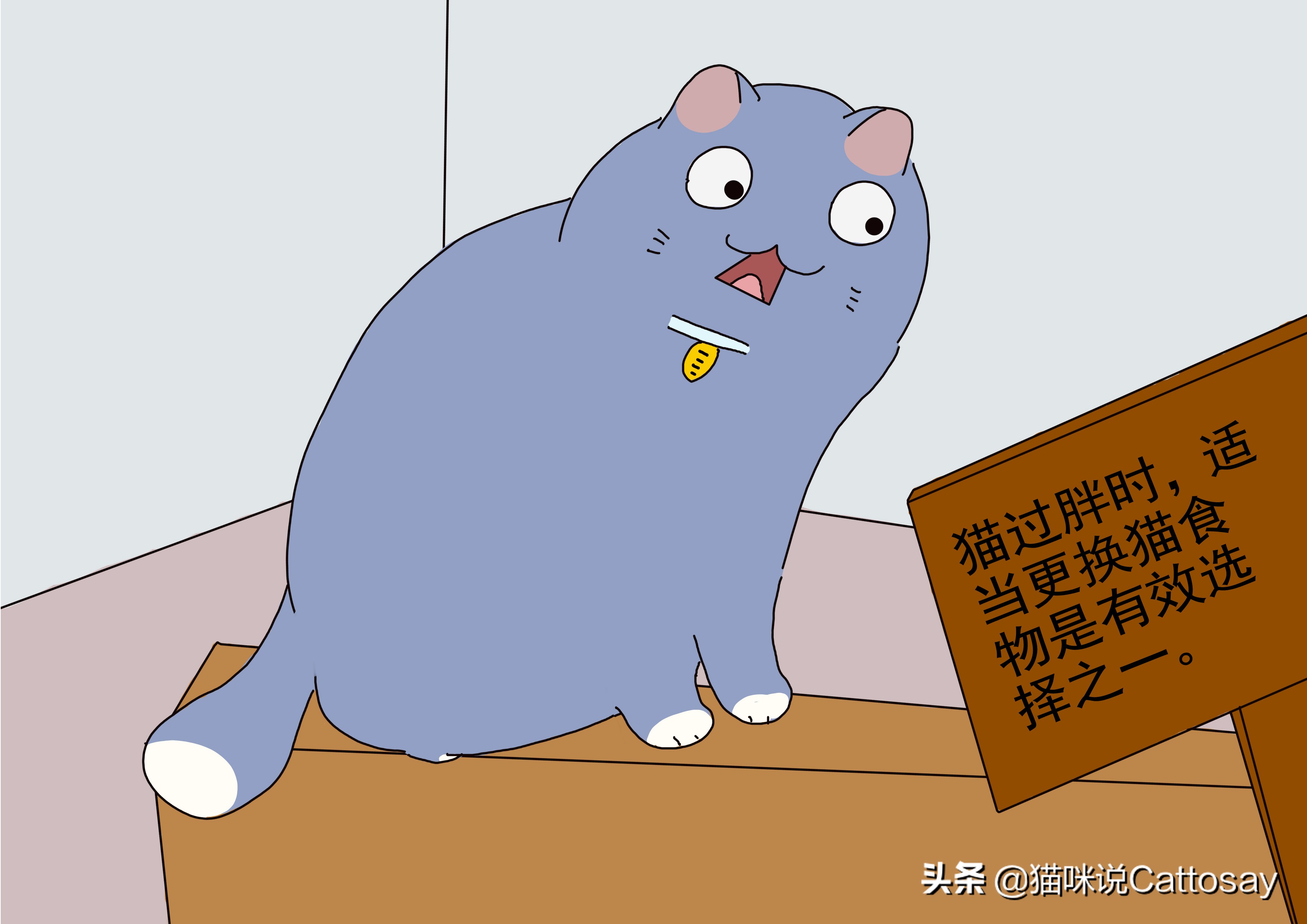 胖猫减肥最有效的方法,胖猫减肥励志视频