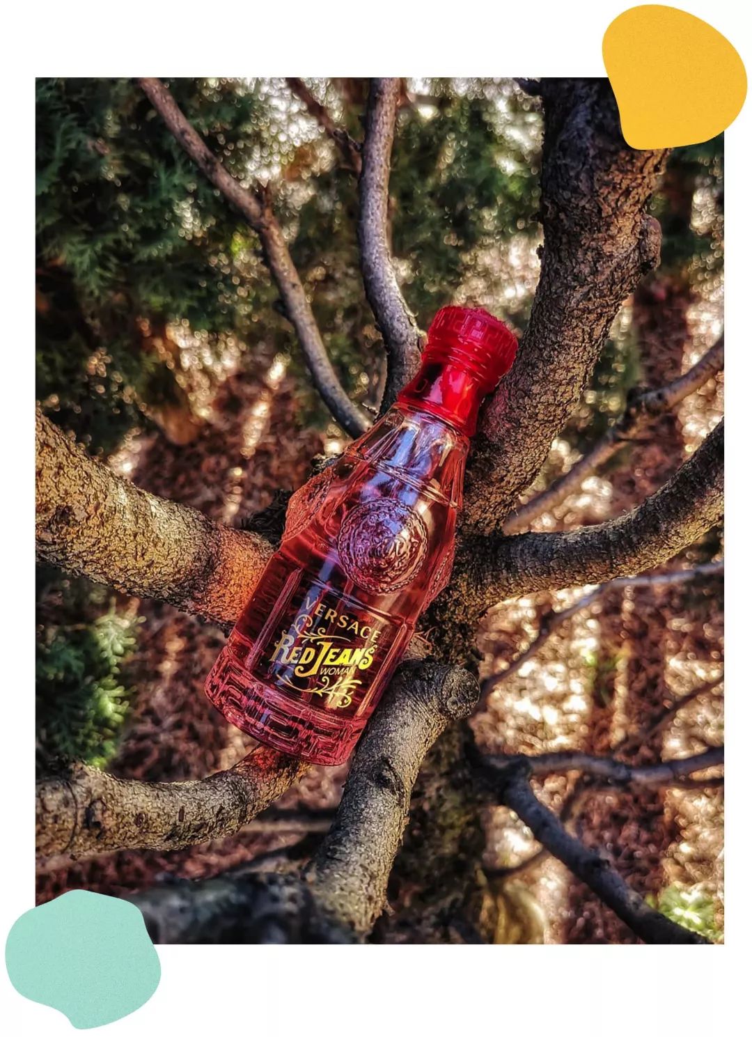 300块以上的小香风,300元左右的小香风