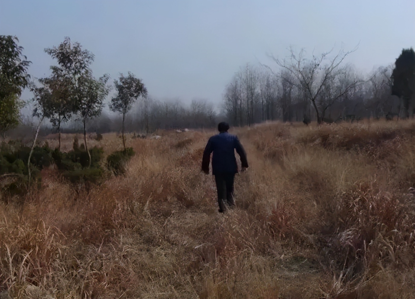 藤县哪个楼盘最好,藤县楼盘