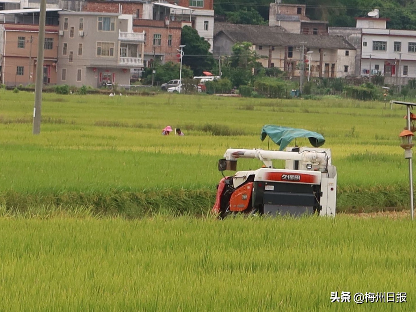 铆足干劲加油干凝心聚力攀新高,铆足劲头加油干奋楫扬帆启新局