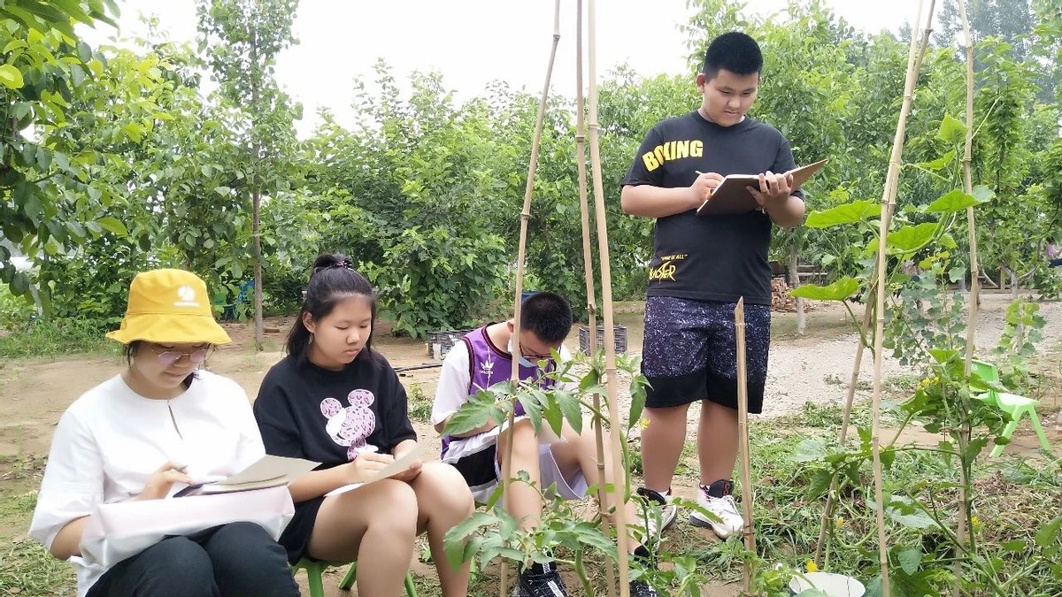 如何利用五亩地赚钱,农地如何利用