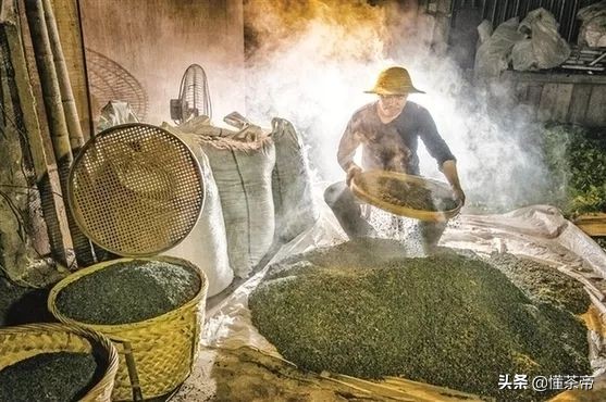 老白茶入口发酸是怎么回事,白茶发酸是什么茶