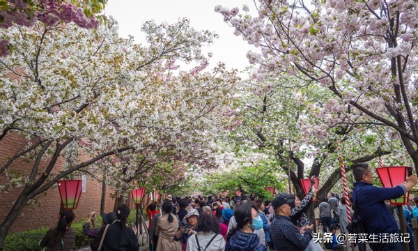 大阪旅游自由行详细攻略,大阪旅游攻略自由行攻略