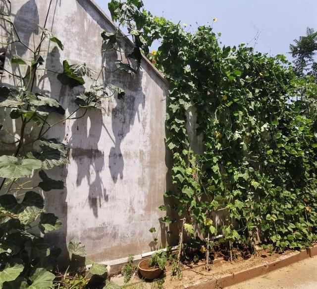 失孤儿子不想回家,失孤后续孩子